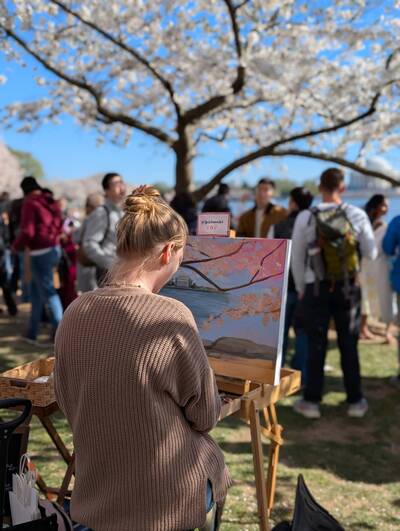 A woman paints the view of cherry blossoms in Washington D.C.